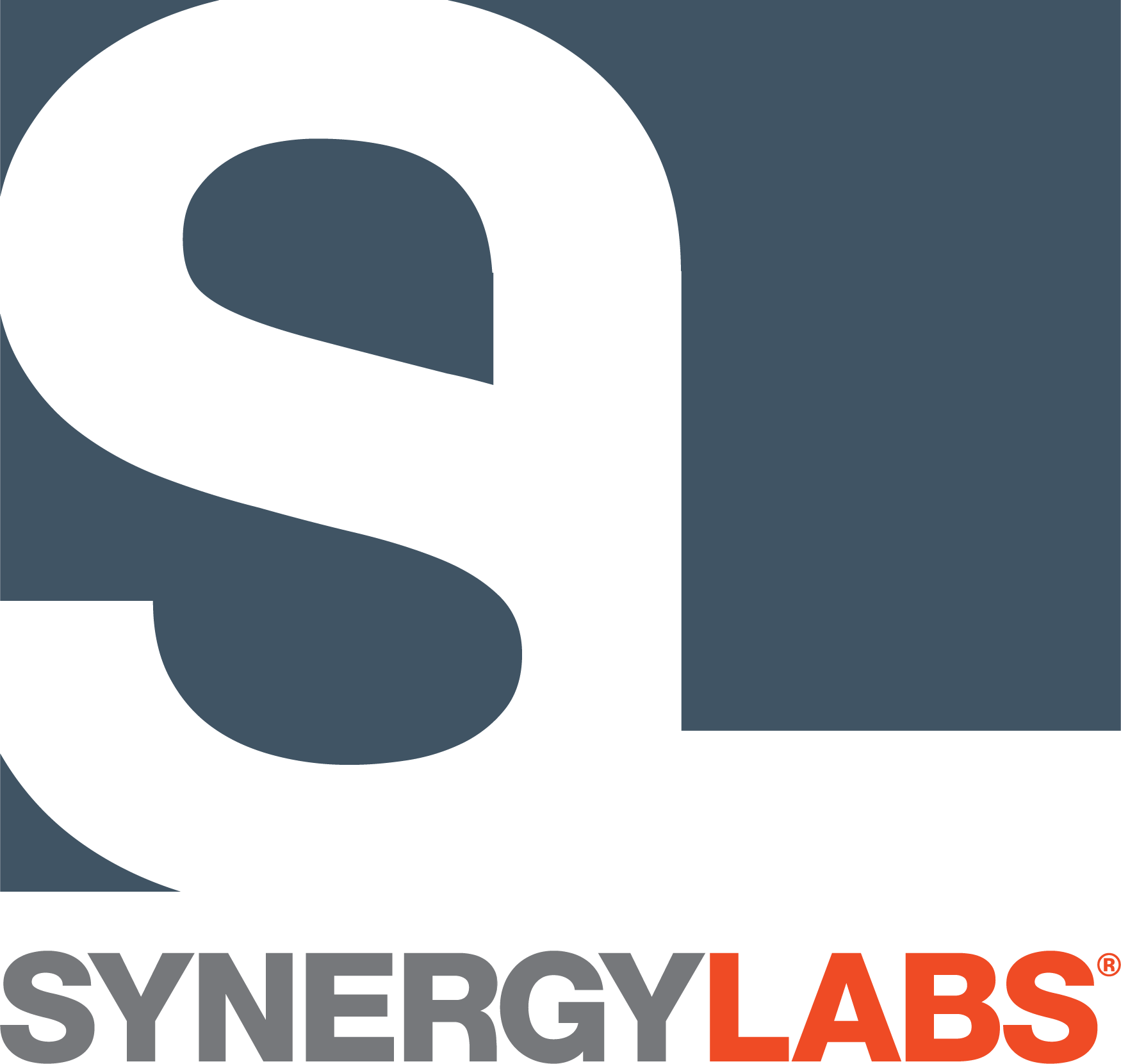 Synergy Labs